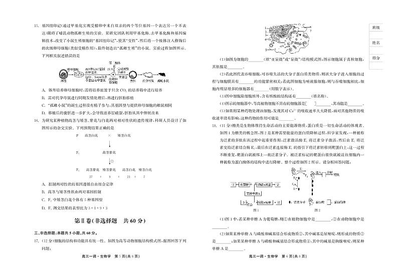 广东省河源市河源中学2024届高三生物上学期9月一调考试试题（PDF版附解析）03