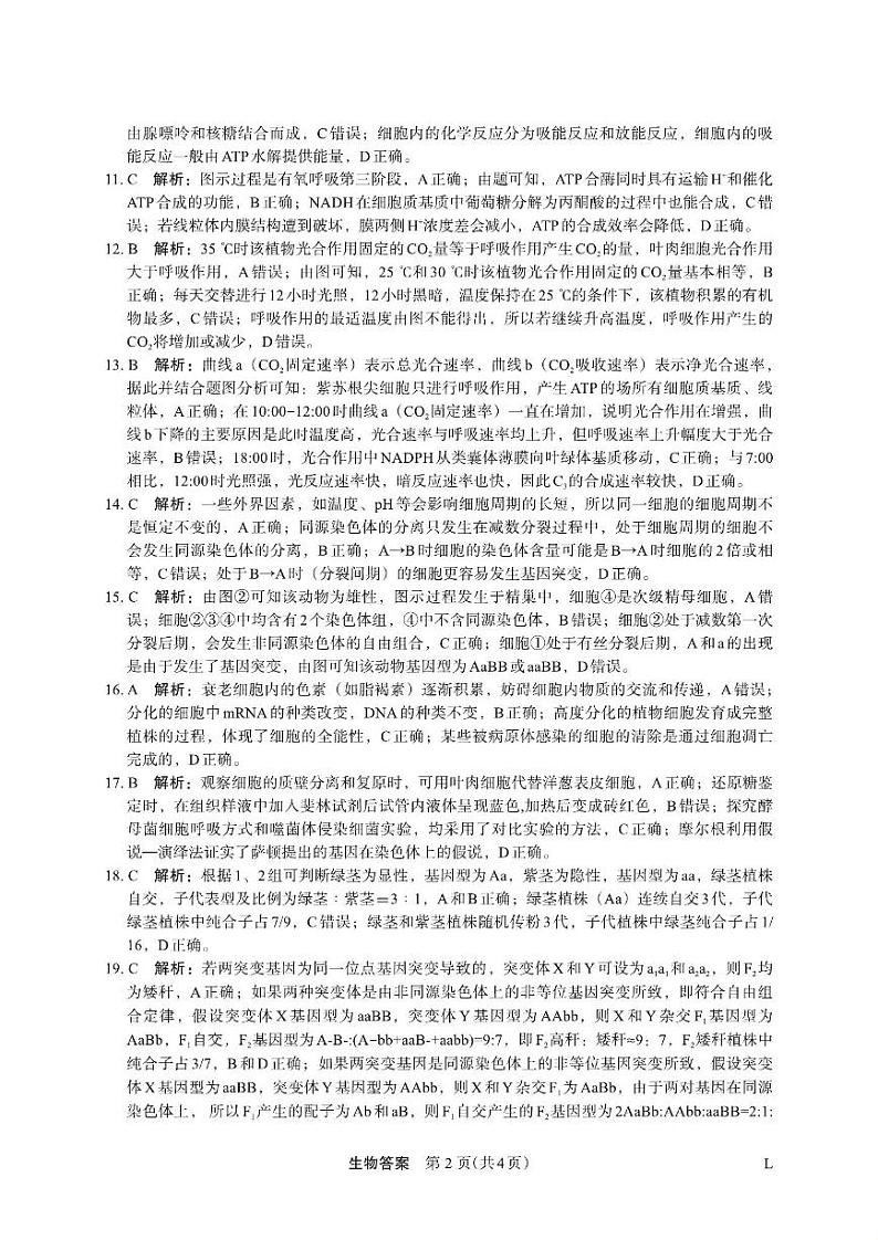 生物答案第2页