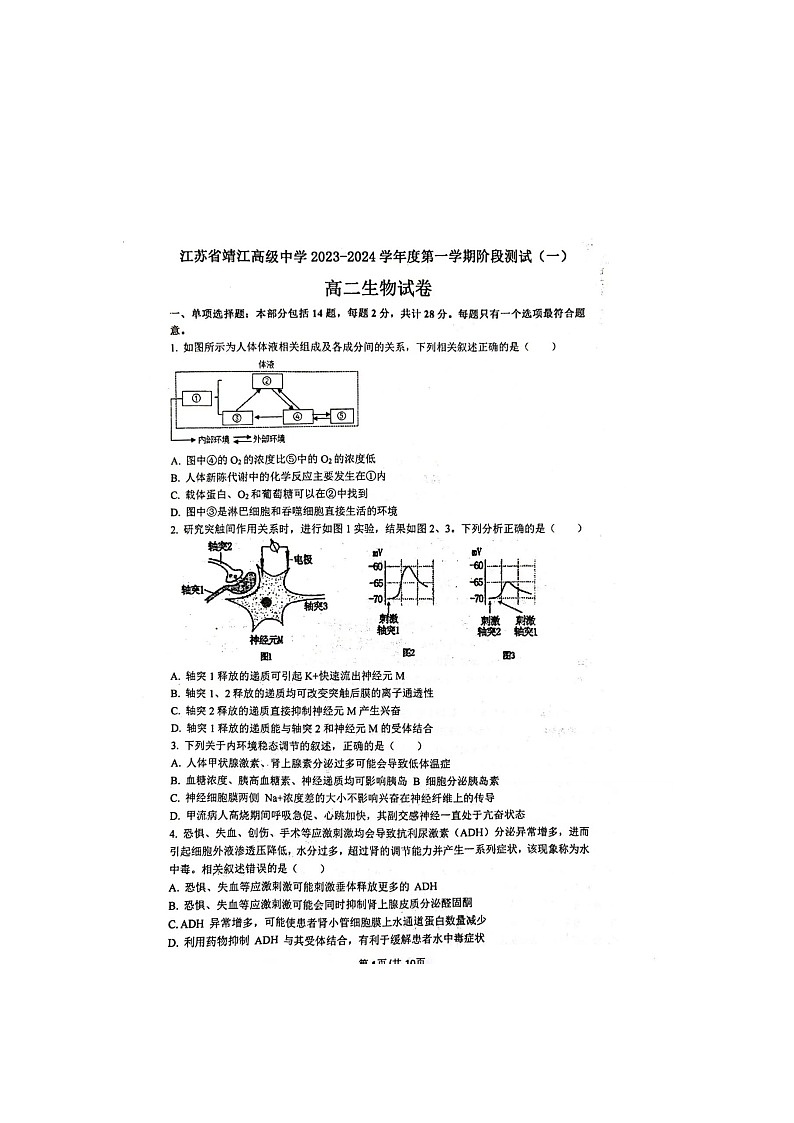 江苏省靖江高级中学2023-2024学年高二生物上学期10月月考生物试题第1页
