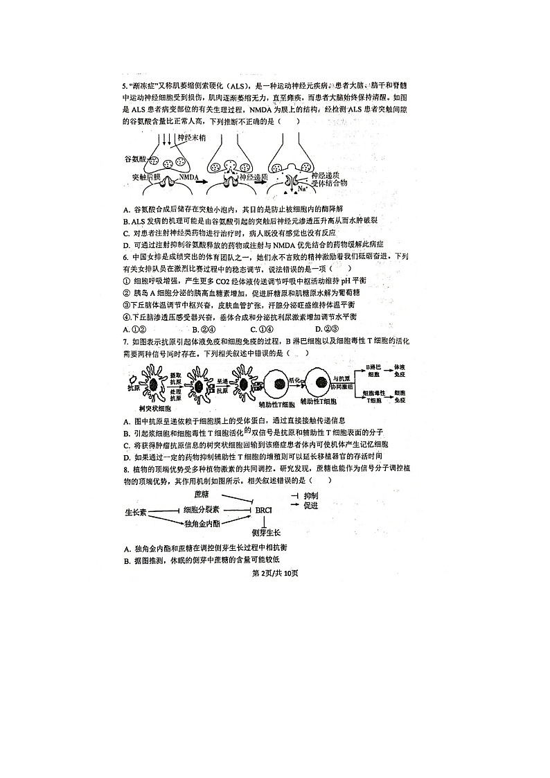 江苏省靖江高级中学2023-2024学年高二生物上学期10月月考生物试题第2页