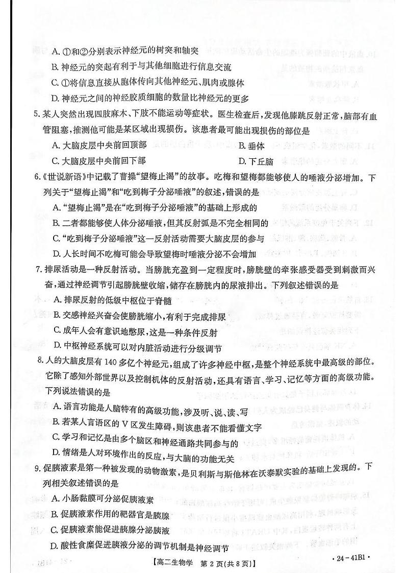 河南省创新联盟2023-2024学年高二上学期第二次联考生物试题（月考）02