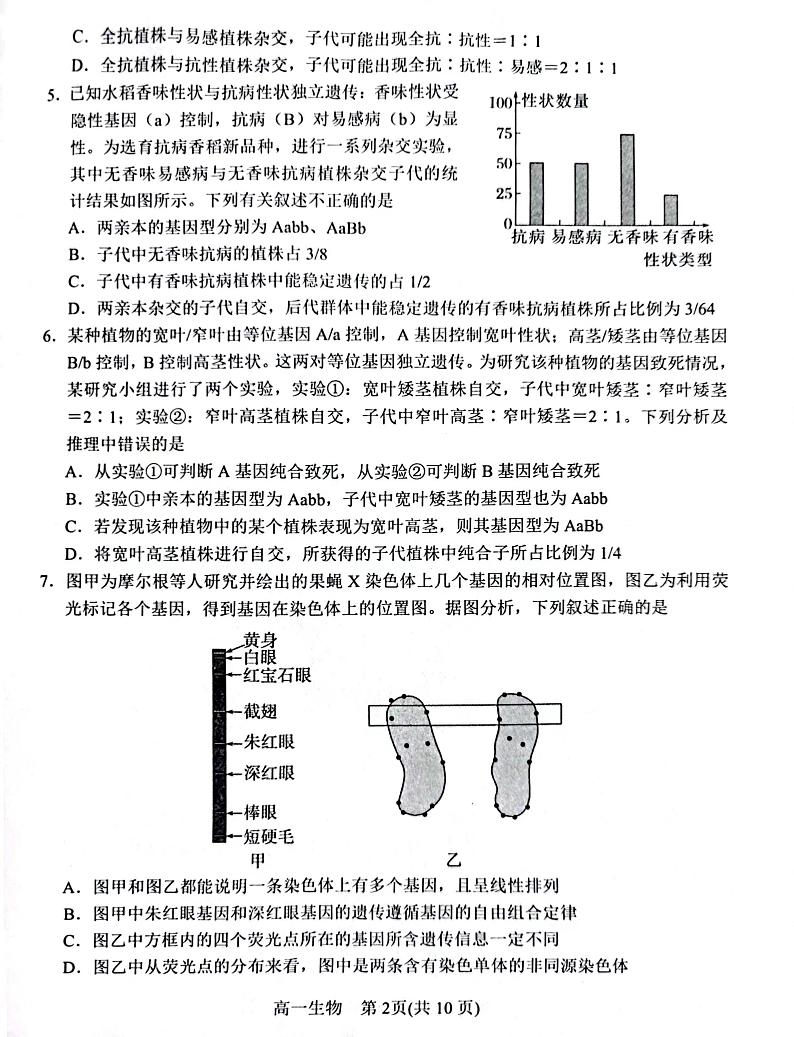 河南省南阳市2022-2023学年高一下学期期末考试生物试题02