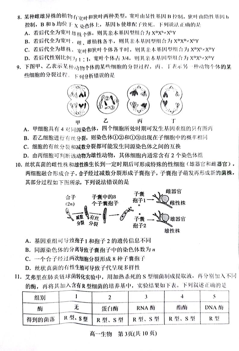 河南省南阳市2022-2023学年高一下学期期末考试生物试题03