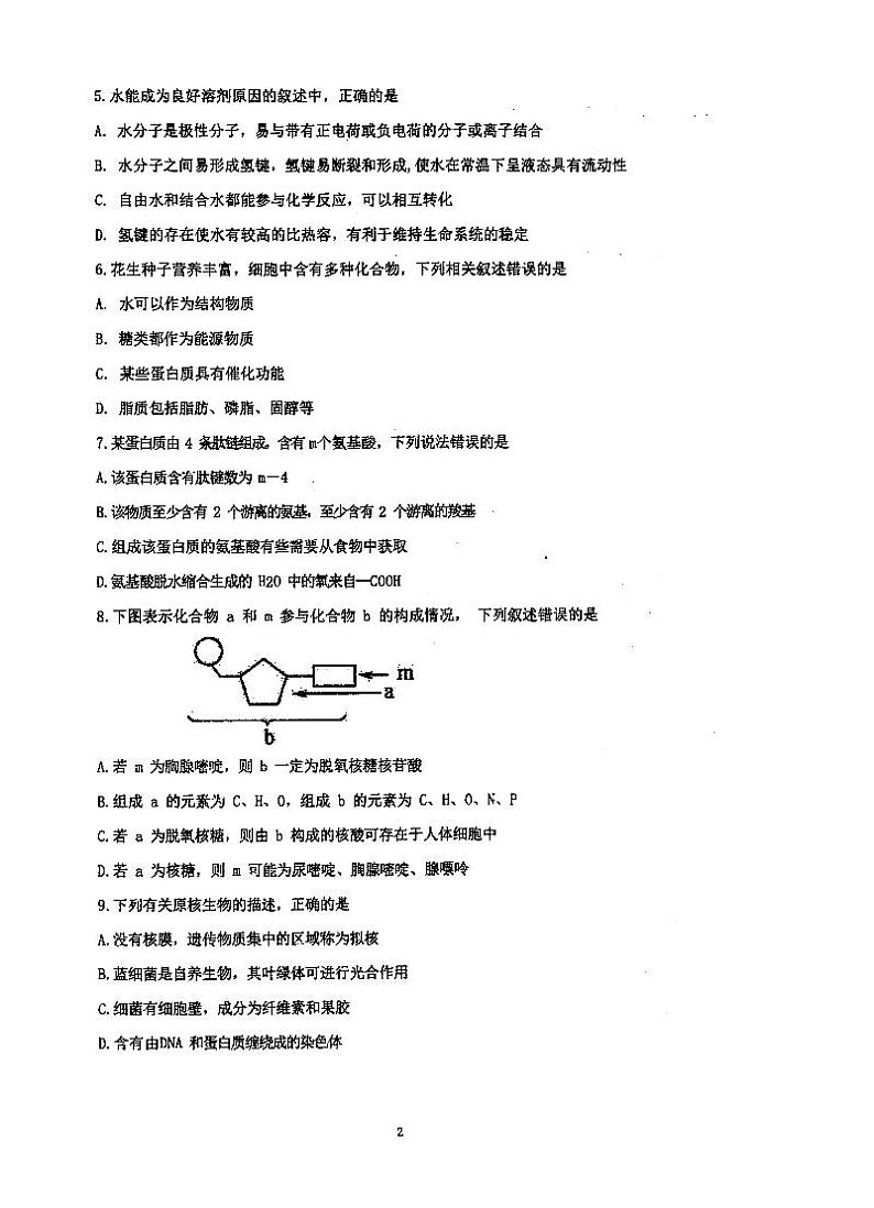 江苏省泰州市泰州中学2023-2024学年高一上学期第一次质量检测生物试卷（月考）02