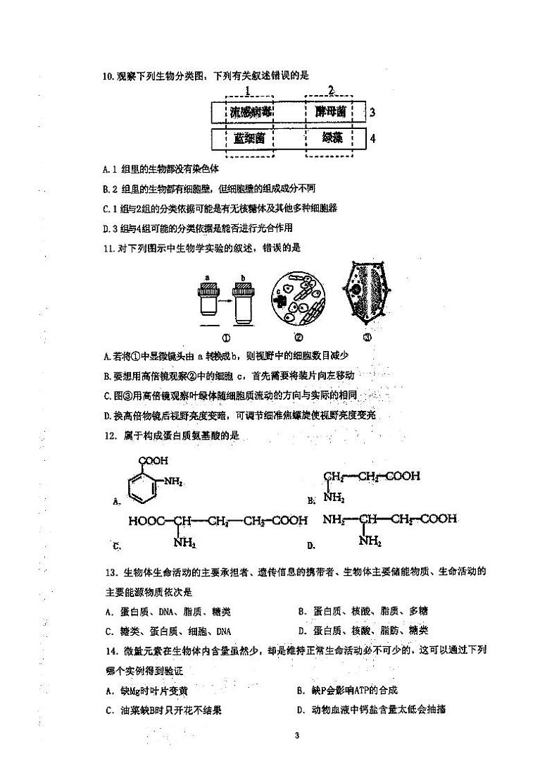 江苏省泰州市泰州中学2023-2024学年高一上学期第一次质量检测生物试卷（月考）03