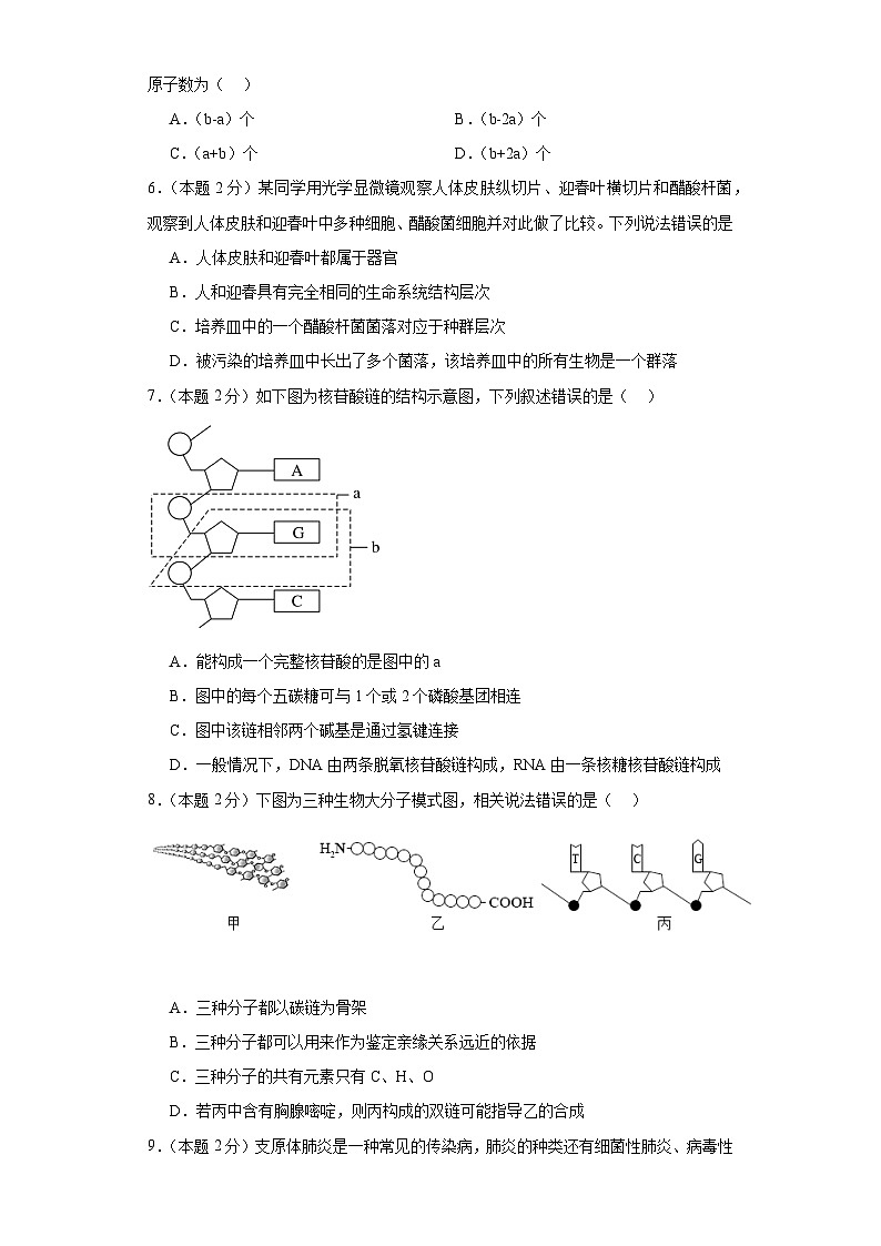 福建省宁德第一中学2023-2024学年高一上学期10月月考生物试题02
