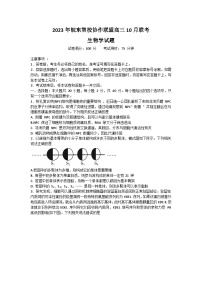 2024安徽省皖东智校协作联盟高三上学期10月联考试题生物含解析