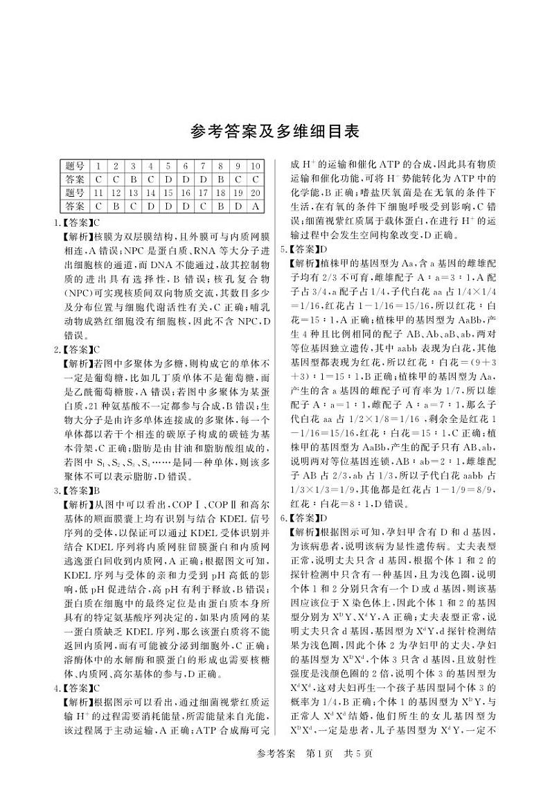 安徽省皖东智校协作联盟2024届高三上学期10月联考生物学答案和解析第1页