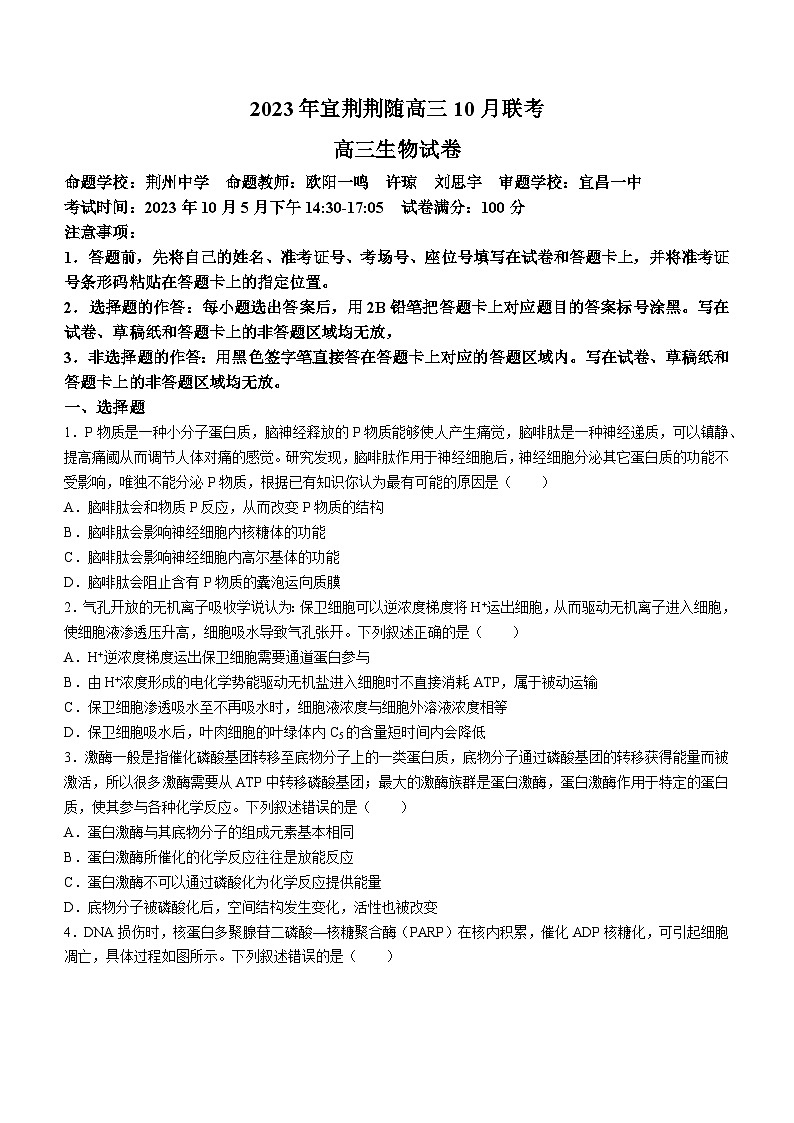 2024湖北省宜荆荆随高三上学期10月联考生物试题含解析第1页