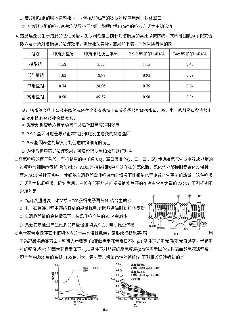 重庆市第八中学校2023-2024学年高三上学期高考适应性月考（一）生物第2页