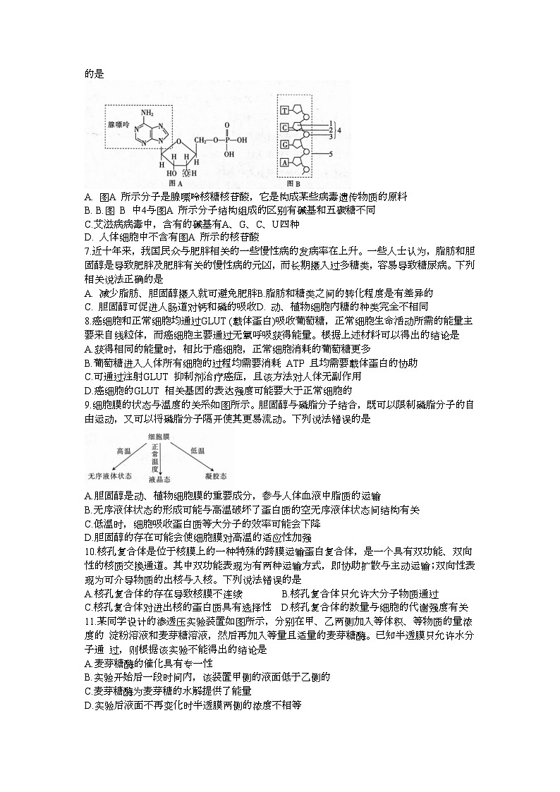 2024内蒙古部分名校高三上学期9月大联考试题生物含答案02