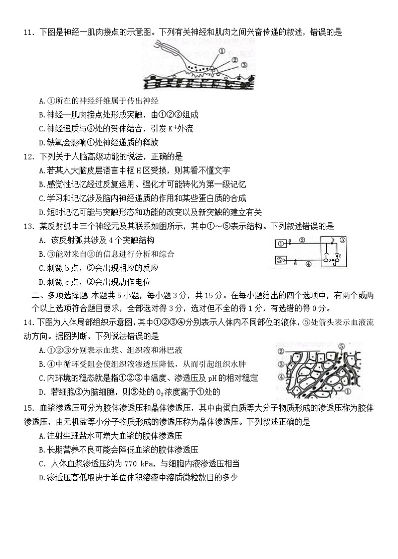 2024邢台四校质检联盟高二上学期第一次月考试题生物含答案第3页