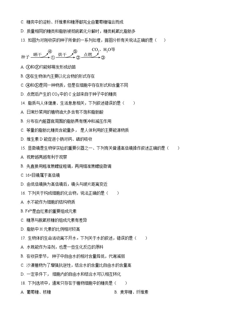 2024江苏省南菁高级中学高一上学期9月阶段性检测生物含解析第3页