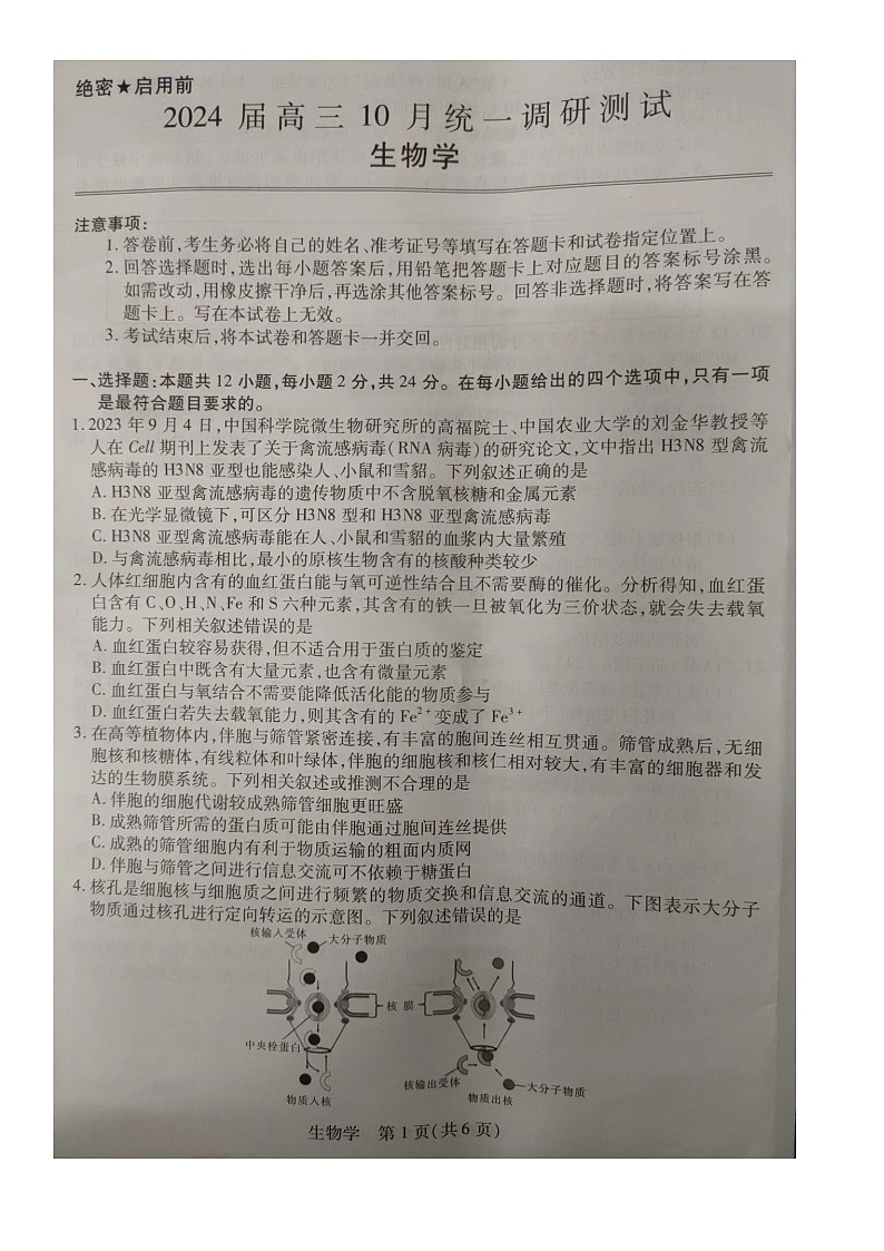 江西省赣州市大余县稳派联考2023-2024学年高三上学期10月月考生物试题第1页