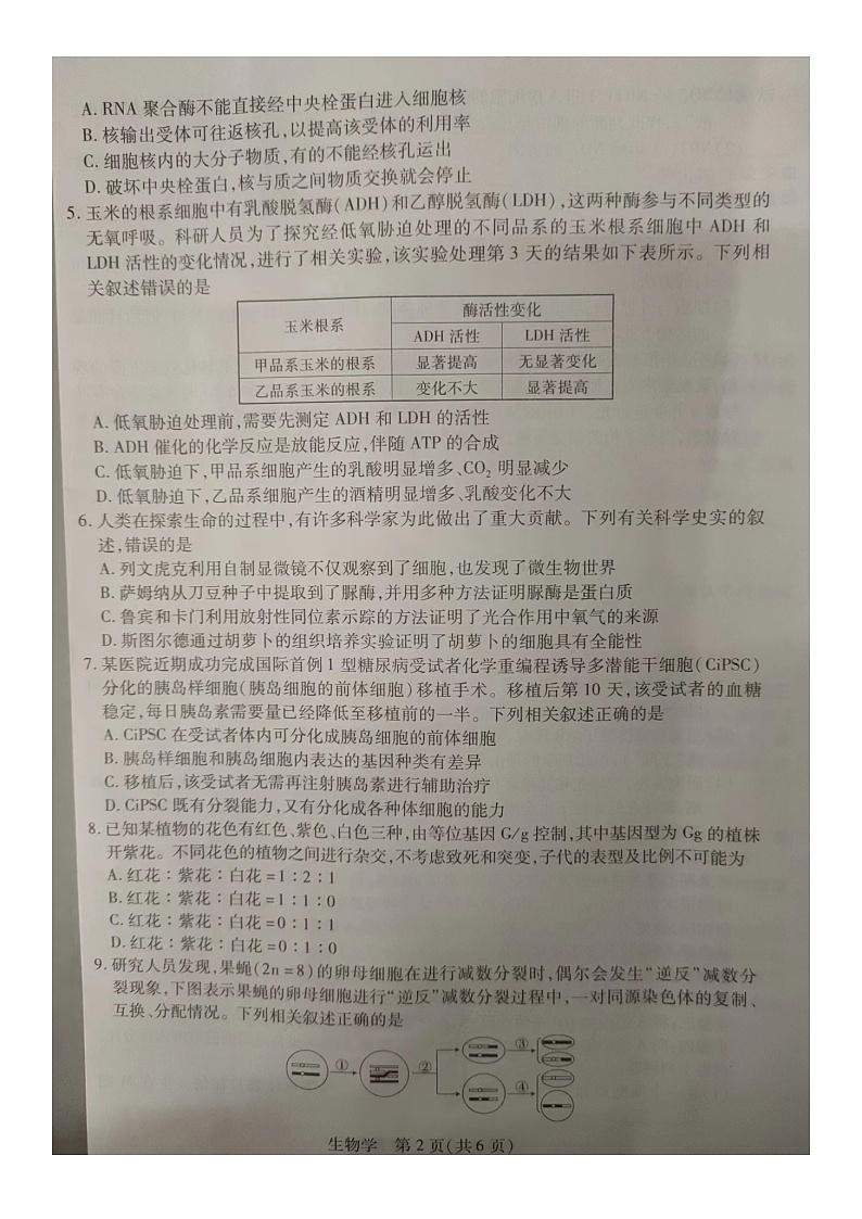 江西省赣州市大余县稳派联考2023-2024学年高三上学期10月月考生物试题第2页