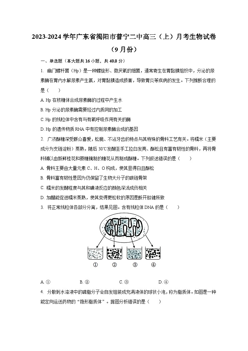 2023-2024学年广东省揭阳市普宁二中高三（上）月考生物试卷（9月份）（含解析）第1页