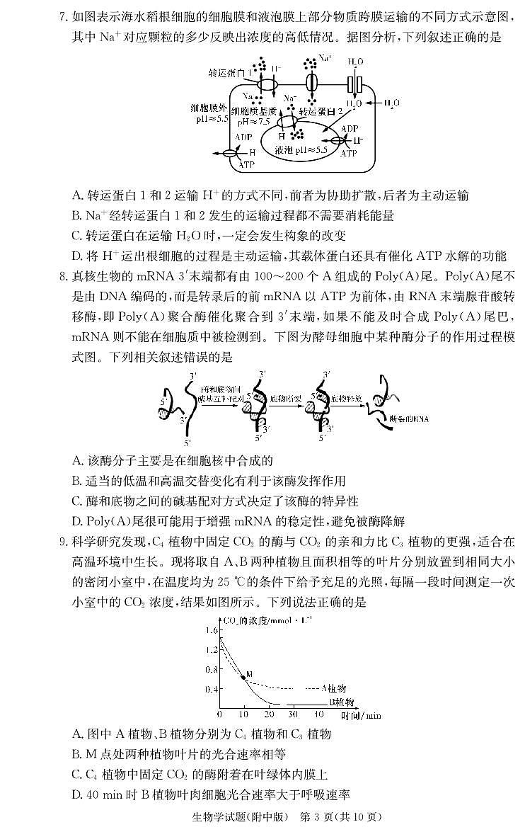 湖南师范大学附属中学2023-2024学年高三上学期月考（二）生物试题无答案第3页