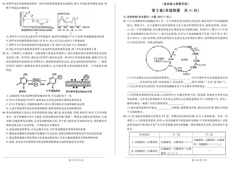 安徽师范大学附属中学2023—2024学年高三第一次素质测试生物试题第3页