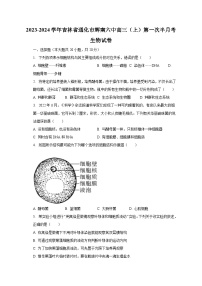 2023-2024学年吉林省通化市辉南六中高三（上）第一次半月考生物试卷（含解析）