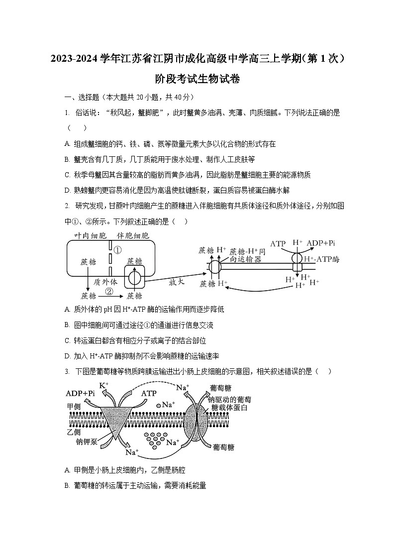2023-2024学年江苏省江阴市成化高级中学高三上学期（第1次）阶段考试生物试卷（含解析）第1页