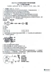 山东省利津县高级中学2023-2024学年高二上学期10月月考生物试题