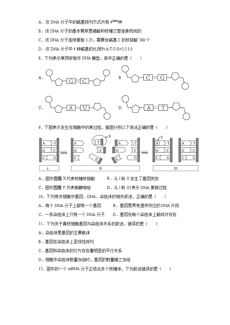 四川省雅安市天立学校2022-2023学年高二上学期开学考试生物试题第2页