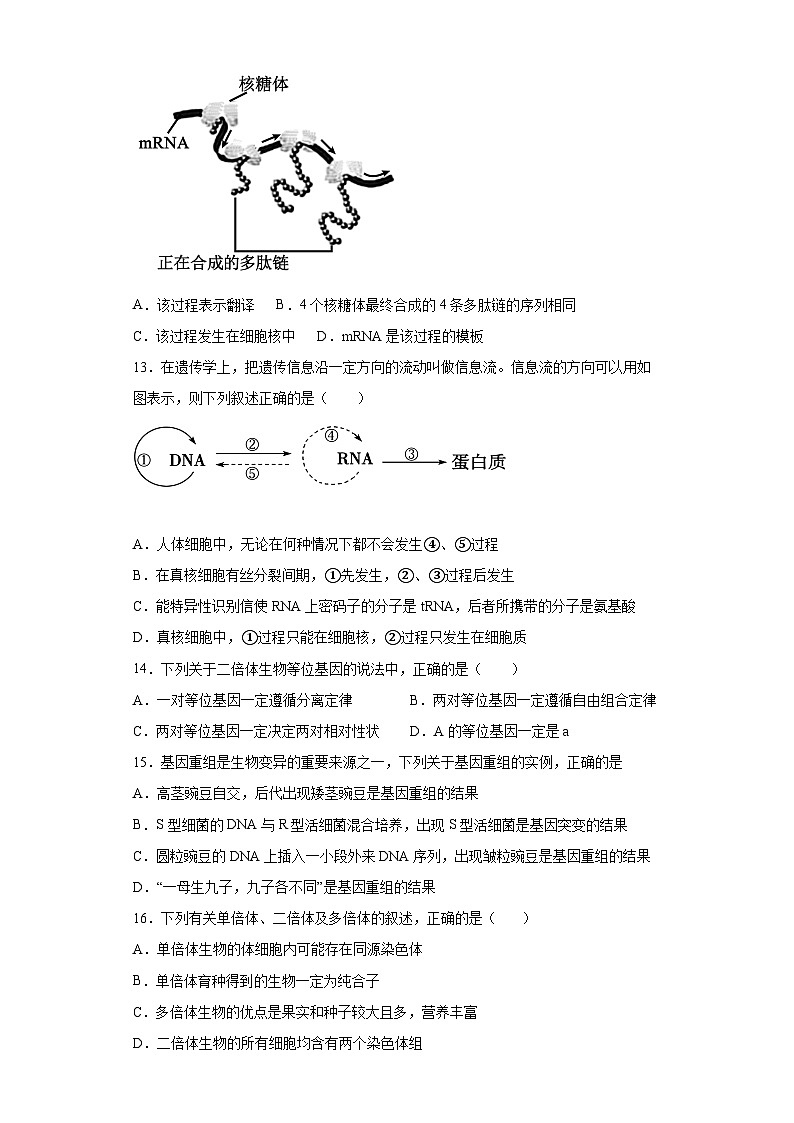 四川省雅安市天立学校2022-2023学年高二上学期开学考试生物试题第3页