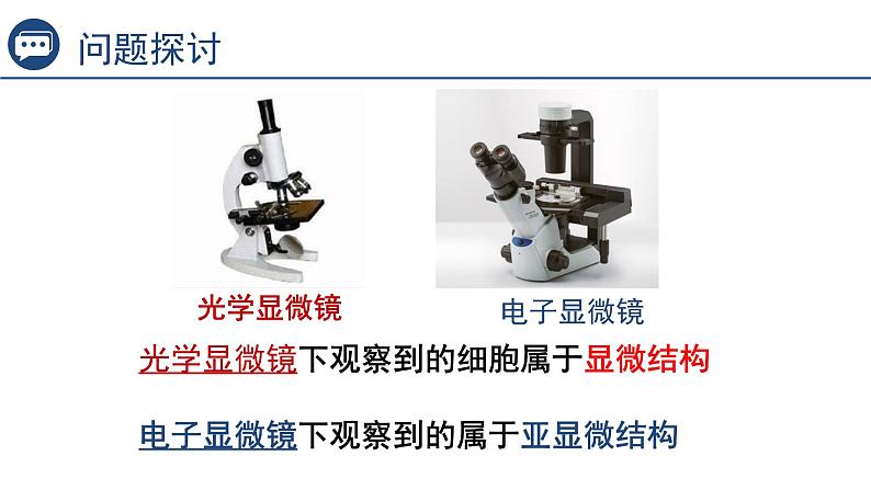 1.2细胞的多样性和统一性第1课时课件2023-2024学年高一上学期生物人教版必修第4页