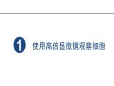 1.2细胞的多样性和统一性第1课时课件2023-2024学年高一上学期生物人教版必修