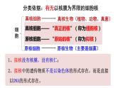 1.2细胞的多样性和统一性第2课时课件2022-2023学年高一上学期生物人教版必修1 - 副本