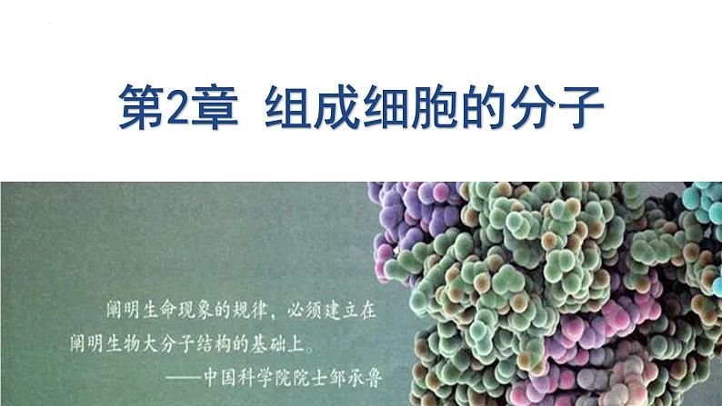 2.1细胞中的元素和化合物课件2023-2024学年高一上学期生物人教版必修1第1页