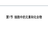 2.1细胞中的元素和化合物课件2023-2024学年高一上学期生物人教版必修1