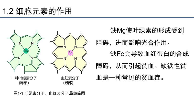 2.1细胞中的元素和化合物课件2023-2024学年高一上学期生物人教版必修1第7页