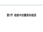 2.3细胞中的糖类和脂质课件2023-2024学年高一上学期生物人教版必修1