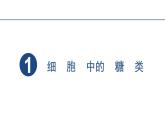 2.3细胞中的糖类和脂质课件2023-2024学年高一上学期生物人教版必修1