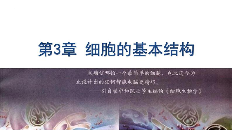 3.1细胞膜的结构和功能 课件 2023——2024学年高一上学期生物人教版必修1第1页