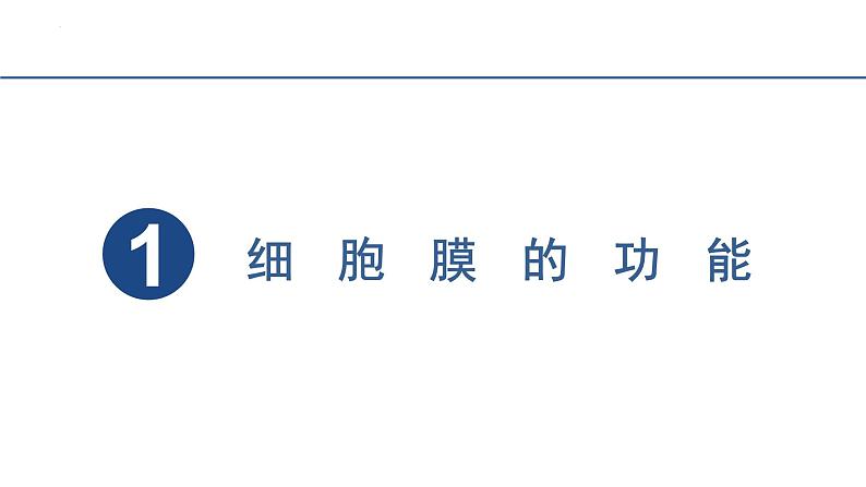 3.1细胞膜的结构和功能 课件 2023——2024学年高一上学期生物人教版必修1第4页