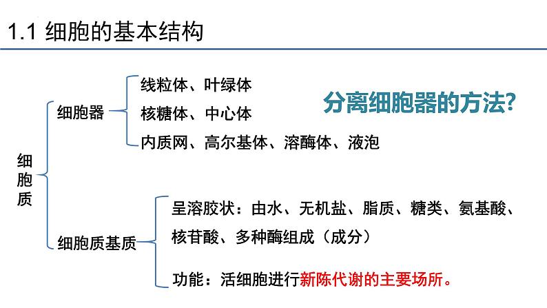 3.2细胞器之间的分工合作  课件 2023——2024学年高一上学期生物人教版必修1第3页