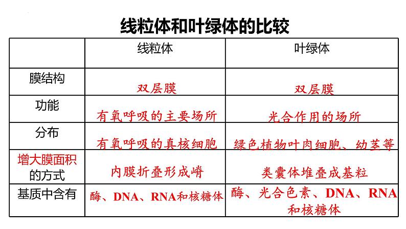 3.2细胞器之间的分工合作  课件 2023——2024学年高一上学期生物人教版必修1第8页