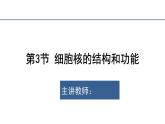 3.3细胞核的结构和功能  课件 2023——2024学年高一上学期生物人教版必修1