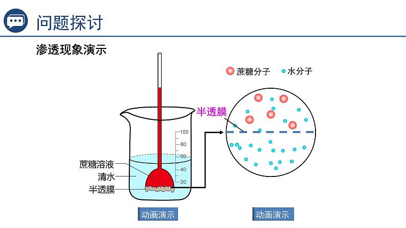 4.1被动运输(第1课时） 课件-2023-2024学年高一上学期生物人教版（2019）必修104