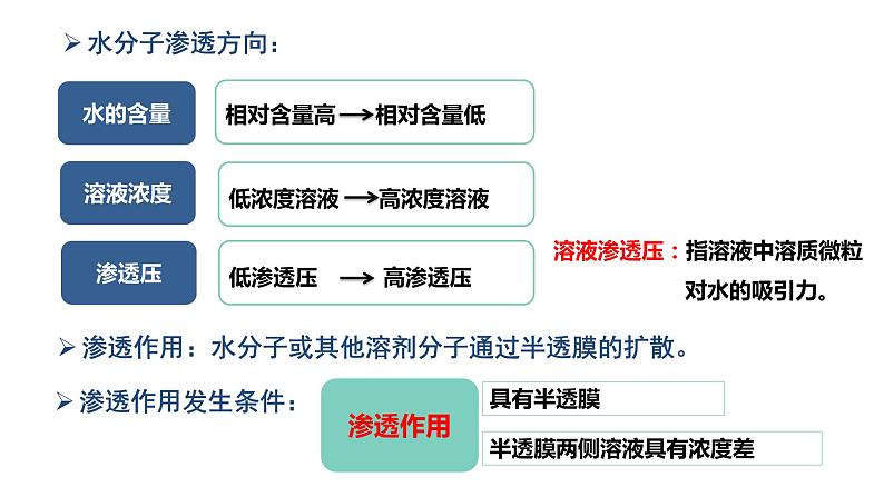 4.1被动运输(第1课时） 课件-2023-2024学年高一上学期生物人教版（2019）必修106