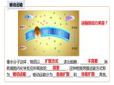 4.1被动运输（第2课时）课件-2023-2024学年高一上学期生物人教版（2019）必修1