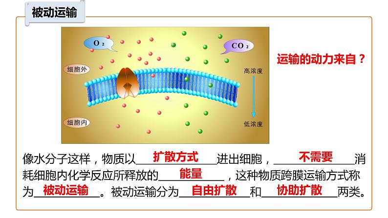 4.1被动运输（第2课时）课件-2023-2024学年高一上学期生物人教版（2019）必修103