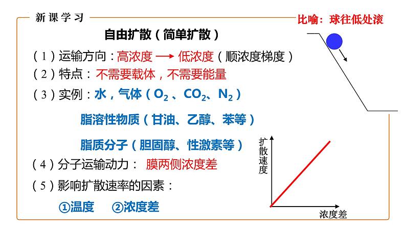 4.1被动运输（第2课时）课件-2023-2024学年高一上学期生物人教版（2019）必修107