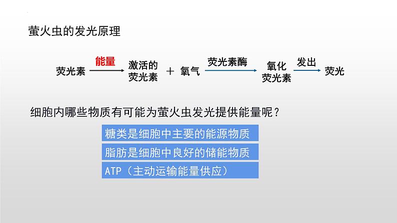 5.2 细胞的能量“货币”ATP 课件2023-2024学年高一上学期生物人教版必修103