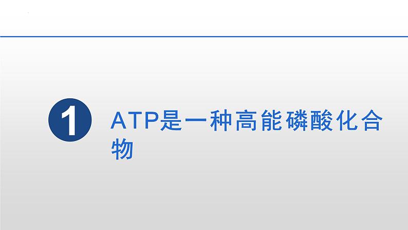 5.2 细胞的能量“货币”ATP 课件2023-2024学年高一上学期生物人教版必修105