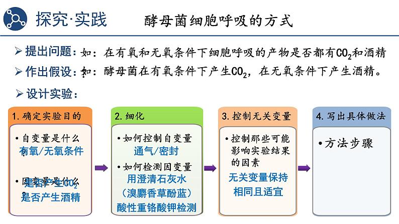 5.3细胞呼吸的原理和应用（第1课时）课件2023-2024学年高一上学期生物人教版必修105