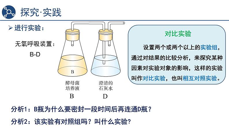 5.3细胞呼吸的原理和应用（第1课时）课件2023-2024学年高一上学期生物人教版必修108