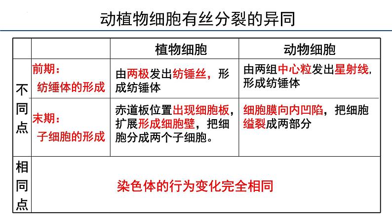 6.1细胞的增殖第3课时课件2023-2024学年高一上学期生物人教版必修107